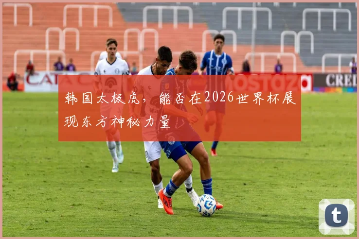 韩国太极虎，能否在2026世界杯展现东方神秘力量